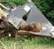 84 in. 4-in-1 Bucket Attachment for Skid Steer