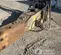 2019 Epiroc EC 155T Attachment