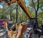 2017 JCB 510-56 Forklift