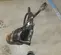 2018 Ingersoll Rand 2950B7