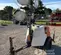 2019 Magnum Pro MLT6SM Portable Light Tower