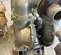 2021 VERSAMATIC E3SA5T559C-ATEX Pump