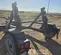2021 Felling FT-8 Trailer